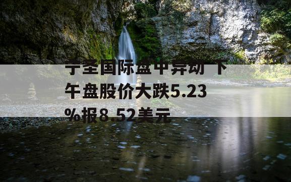 宁圣国际盘中异动 下午盘股价大跌5.23%报8.52美元