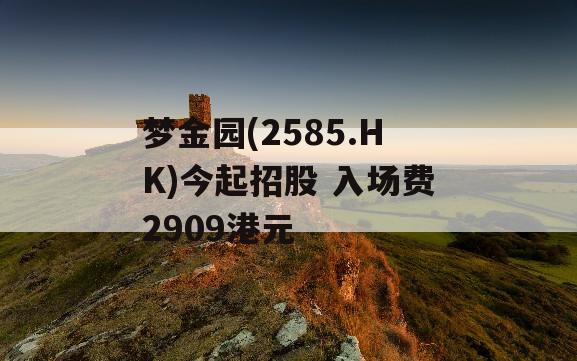 梦金园(2585.HK)今起招股 入场费2909港元